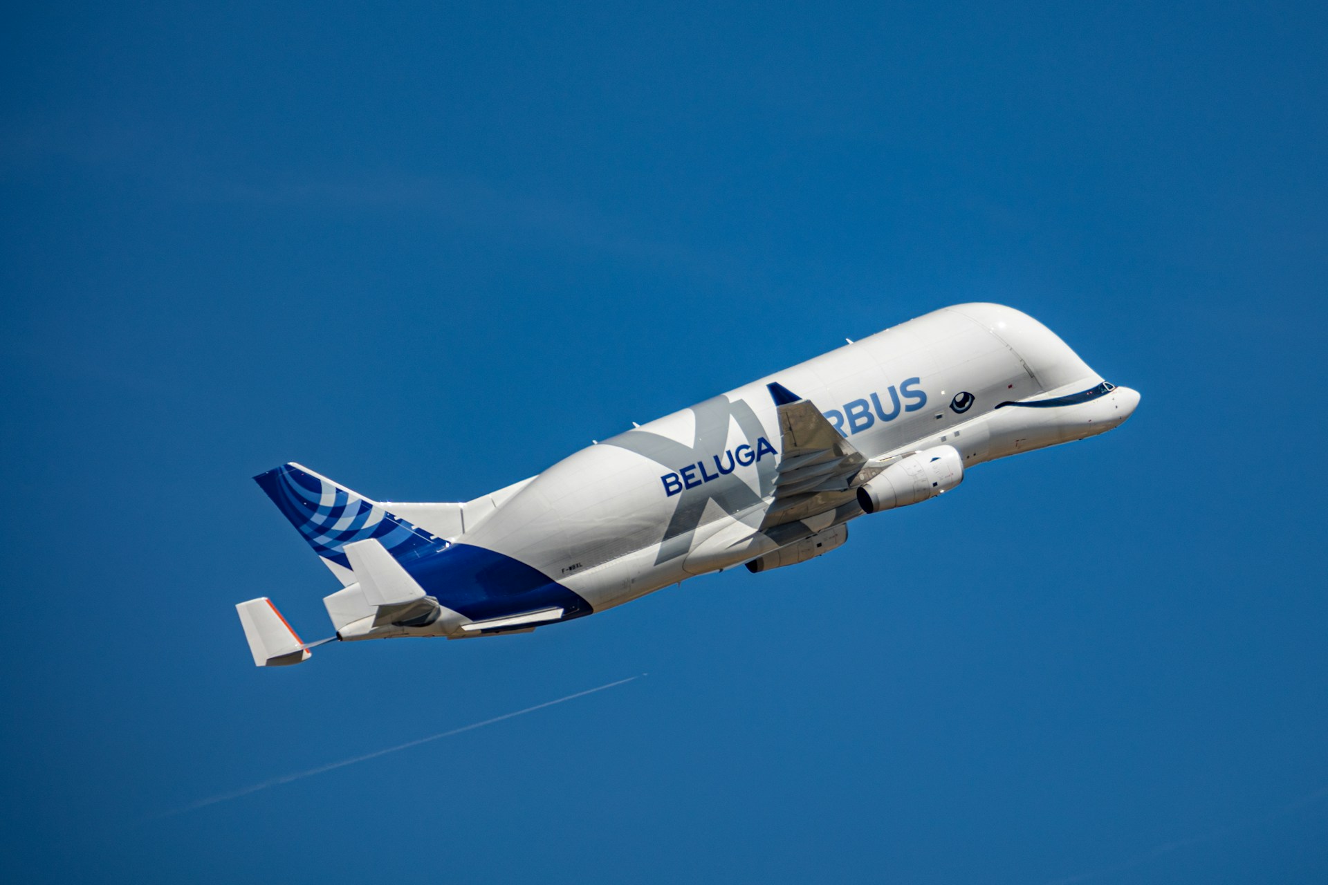 You are currently viewing What is so Special about Airbus BELUGA?